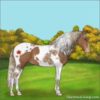 Horse Color:Chestnut Tobiano Varnish
