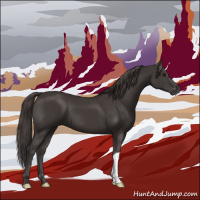 Horse Color:Smoky Black 