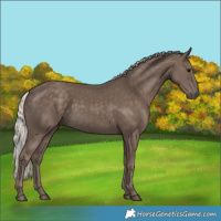 Horse Color:Silver Black 