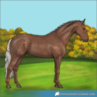 Horse Color:Silver Black 