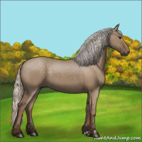 Horse Color:Silver Grullo 