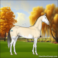 Horse Color:Buckskin Dun Splash 