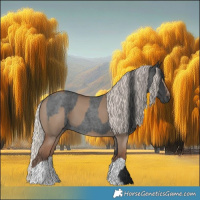 Horse Color:Grullo Roan  and Silver Grullo 
