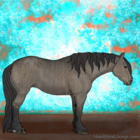 Horse Color:Smoky Grullo  and Grullo 