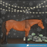 Horse Color:Bay Varnish 