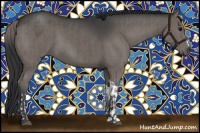 Horse Color:Grullo and Grullo