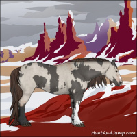 Horse Color:Grullo  and Classic Champagne Dun 