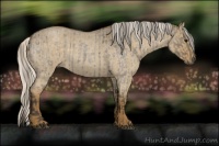 Horse Color:Smoky Grullo Roan  and Silver Smoky Grullo Roan 
