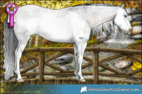 Horse Color:White Spotted Buckskin Roan Splash Frame 