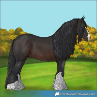 Horse Color:Brown 