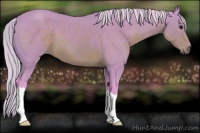 Horse Color:Watercolor Silver Brown 