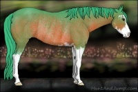 Horse Color:Watercolor Brown Sabino Rabicano 
