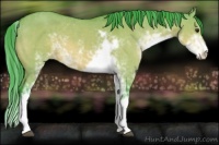 Horse Color:Watercolor Brown Dun Sabino 