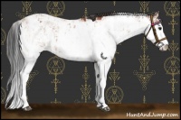 Horse Color:Bay Sabino Appaloosa Rabicano and Bay Sabino Rabicano