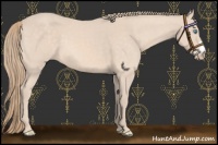 Horse Color:Perlino 