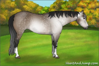 Horse Color:Gray White Spotted Brown Dun