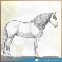 Horse Color:Silver Classic Champagne Splash Tobiano Appaloosa 