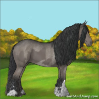 Horse Color:Grullo  and Grullo Rabicano 