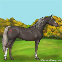 Horse Color:Silver Black 