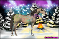 Horse Color:Classic Champagne Tobiano 