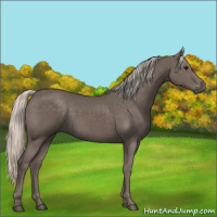 Horse Color:Silver Black 