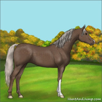Horse Color:Silver Black 