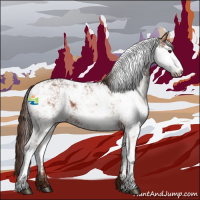 Horse Color:Liver Chestnut Sabino 