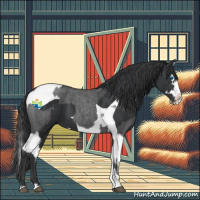 Horse Color:Blue Roan Sabino Splash  and Black Sabino Splash Tobiano 