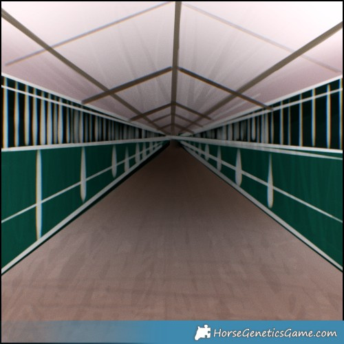 Horse Color:Brown Mushroom Appaloosa and White Spotted Liver Red Dun