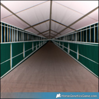 Horse Color:Brown Mushroom Appaloosa  and White Spotted Liver Red Dun 