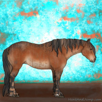 Horse Color:Chestnut  and Bay 