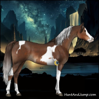 Horse Color:Liver Chestnut Tobiano and Liver Chestnut Splash Tobiano