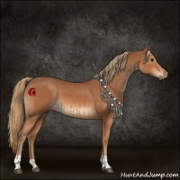 Horse Color:Chestnut  and Chestnut