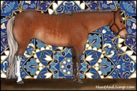 Horse Color:Bay  and Silver Bay 