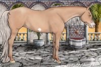 Horse Color:Silver Amber Champagne Frame 