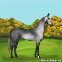 Horse Color:Gray Black 
