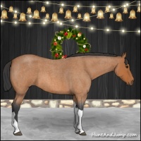 Horse Color:Bay Roan Tobiano 