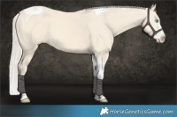 Horse Color:Cremello Splash Tobiano 