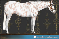 Horse Color:Silver Bay Roan Splash Tobiano Near Leopard 