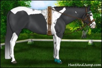 Horse Color:Black Splash Tobiano 