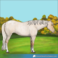 Horse Color:Silver Grullo Roan Pearl Tobiano 