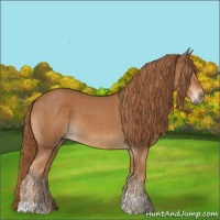 Horse Color:Chestnut  and Chestnut 