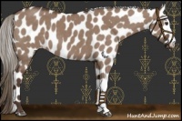 Horse Color:Liver Red Dun Mushroom Near Leopard 