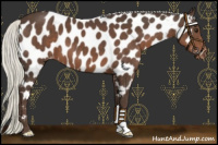 Horse Color:Liver Chestnut Mushroom Near Leopard 