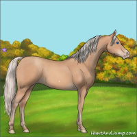 Horse Color:Silver Amber Champagne Frame