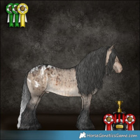 Horse Color:Brown Dun Appaloosa Brindle  and Brown Dun Appaloosa Brindle 
