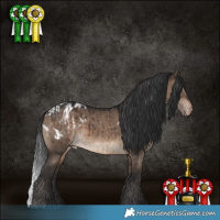 Horse Color:Brown Dun Blanket Brindle  and Brown Dun Blanket Brindle 