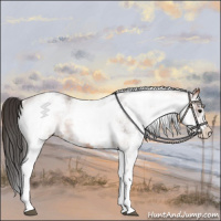 Horse Color:White Spotted Bay 