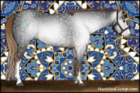 Horse Color:Gray White Spotted Liver Chestnut 