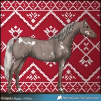 Horse Color:White Spotted Silver Blue Roan 